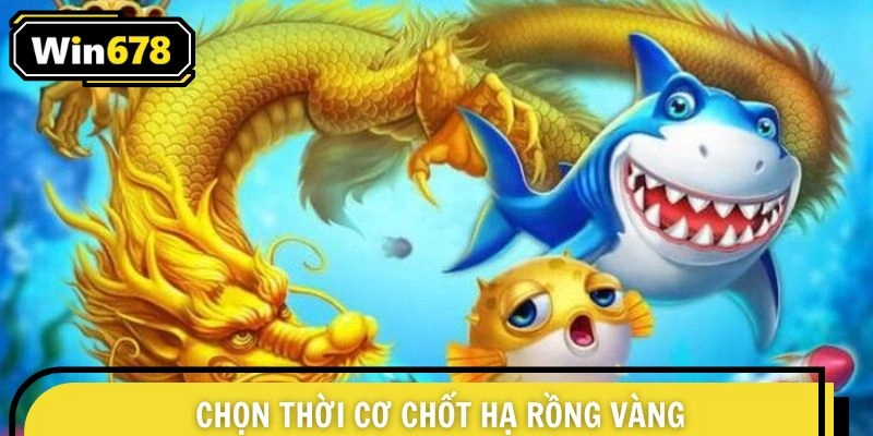 Chọn thời cơ chốt hạ rồng vàng với điểm thưởng cực cao