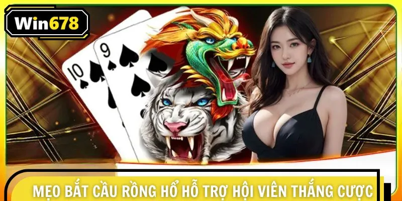 Mẹo bắt cầu rồng hổ hỗ trợ hội viên thắng cược