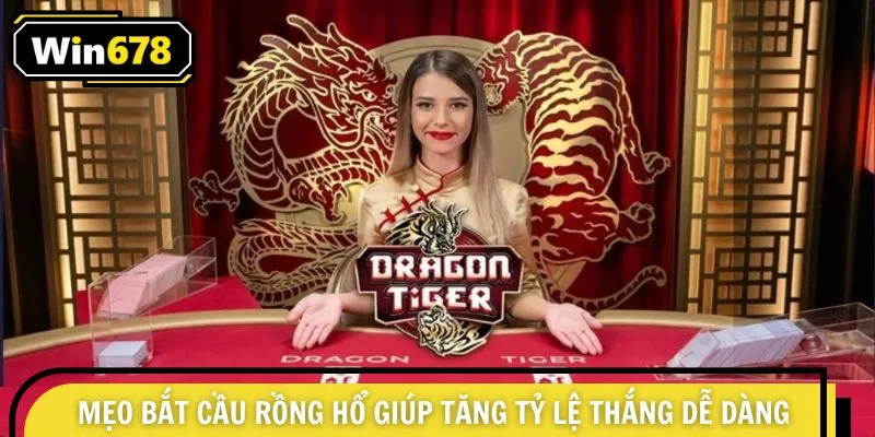Mẹo Bắt Cầu Rồng Hổ