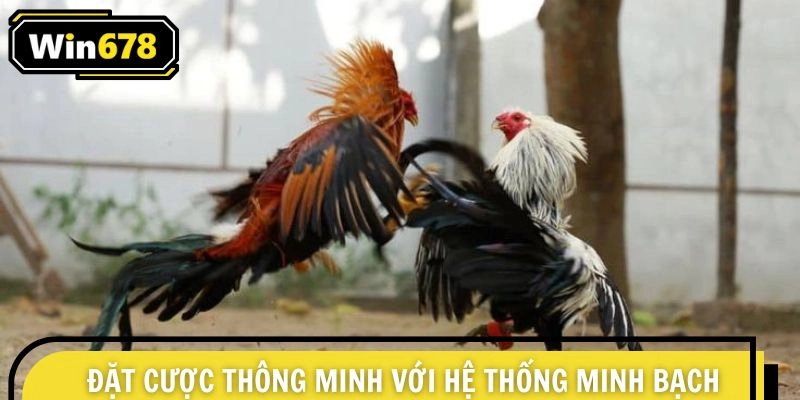 Tham gia đặt cược thông minh với hệ thống minh bạch